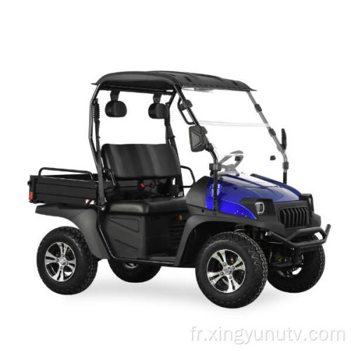 Jeep 400cc EFI Golf Cart UTV avec EPA